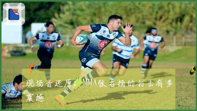 现场音还原：MMA张名扬的打击有多震撼