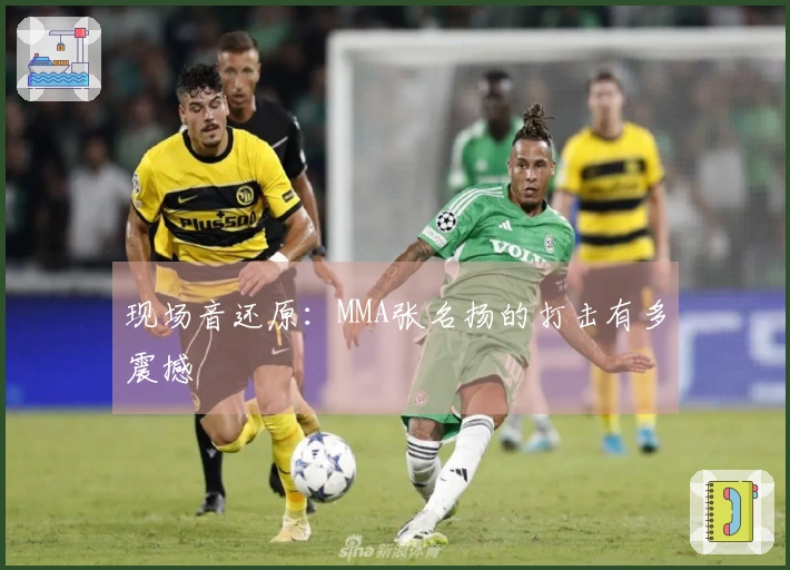 现场音还原：MMA张名扬的打击有多震撼